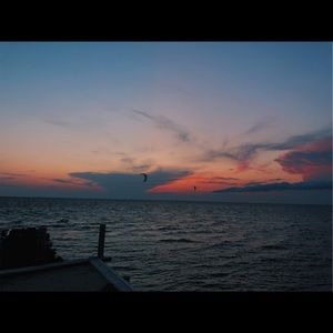 Meet your Posher, Allie